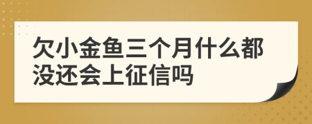 欠小金鱼三个月什么都没还会上征信吗