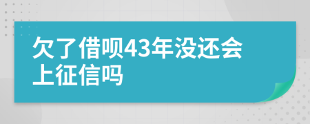 欠了借呗43年没还会上征信吗