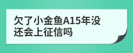 欠了小金鱼A15年没还会上征信吗