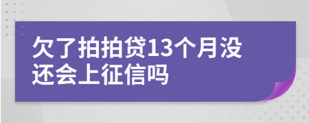 欠了拍拍贷13个月没还会上征信吗