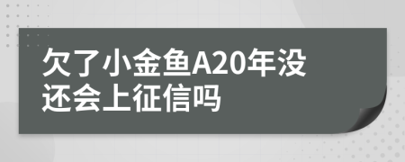 欠了小金鱼A20年没还会上征信吗