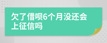 欠了借呗6个月没还会上征信吗