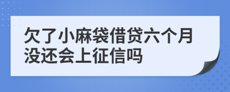 欠了小麻袋借贷六个月没还会上征信吗