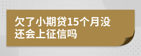 欠了小期贷15个月没还会上征信吗