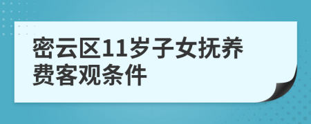 密云区11岁子女抚养费客观条件