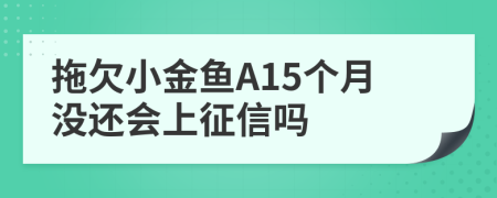 拖欠小金鱼A15个月没还会上征信吗