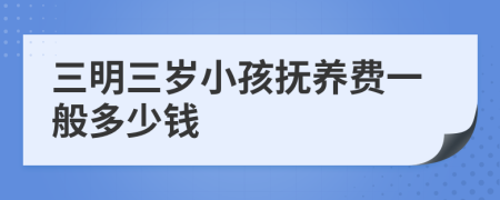 三明三岁小孩抚养费一般多少钱