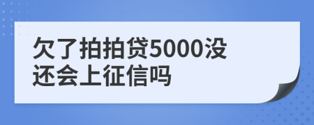 欠了拍拍贷5000没还会上征信吗