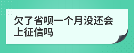 欠了省呗一个月没还会上征信吗