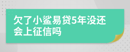 欠了小鲨易贷5年没还会上征信吗