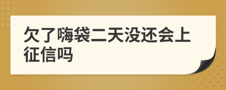 欠了嗨袋二天没还会上征信吗