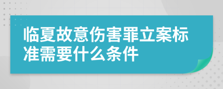 临夏故意伤害罪立案标准需要什么条件