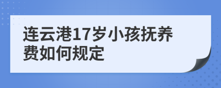 连云港17岁小孩抚养费如何规定