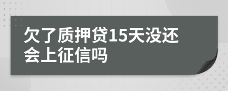 欠了质押贷15天没还会上征信吗