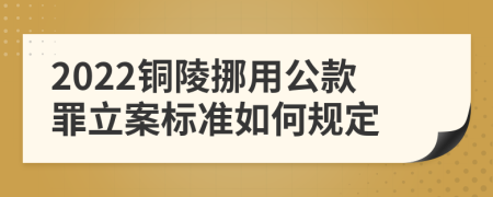 2022铜陵挪用公款罪立案标准如何规定