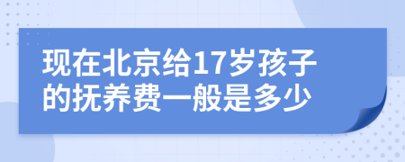 现在北京给17岁孩子的抚养费一般是多少