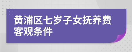 黄浦区七岁子女抚养费客观条件