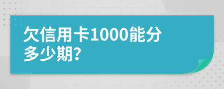 欠信用卡1000能分多少期？