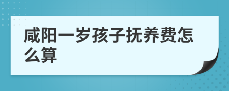 咸阳一岁孩子抚养费怎么算
