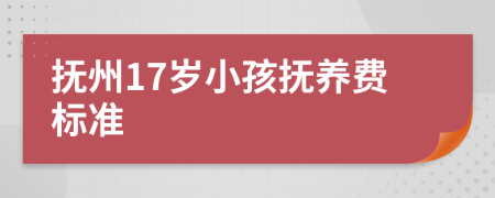 抚州17岁小孩抚养费标准