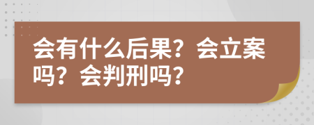 会有什么后果？会立案吗？会判刑吗？