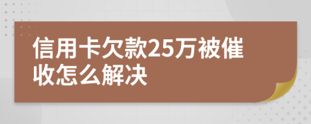 信用卡欠款25万被催收怎么解决