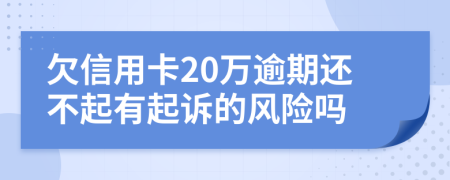 欠信用卡20万逾期还不起有起诉的风险吗