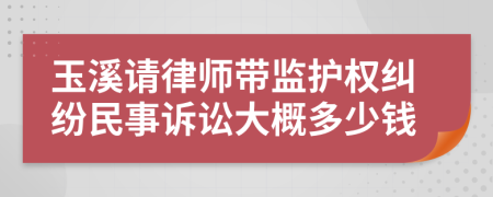 玉溪请律师带监护权纠纷民事诉讼大概多少钱