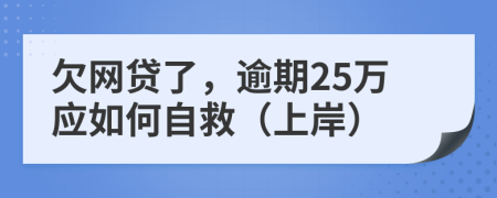 欠网贷了，逾期25万应如何自救（上岸）