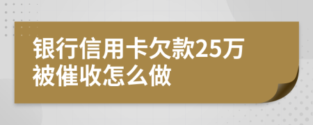 银行信用卡欠款25万被催收怎么做