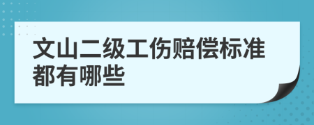 文山二级工伤赔偿标准都有哪些