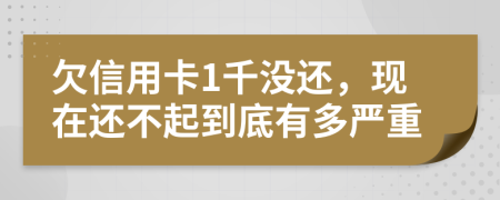 欠信用卡1千没还，现在还不起到底有多严重