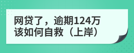 网贷了，逾期124万该如何自救（上岸）