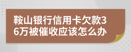 鞍山银行信用卡欠款36万被催收应该怎么办
