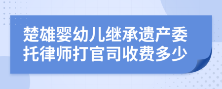 楚雄婴幼儿继承遗产委托律师打官司收费多少