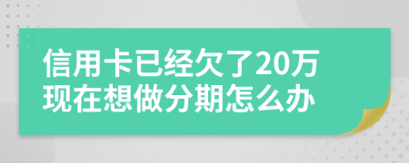 信用卡已经欠了20万现在想做分期怎么办