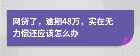 网贷了，逾期48万，实在无力偿还应该怎么办