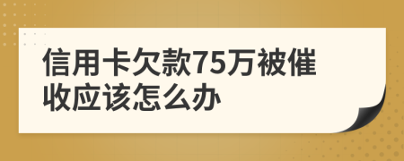 信用卡欠款75万被催收应该怎么办