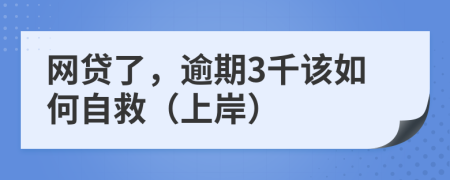 网贷了，逾期3千该如何自救（上岸）