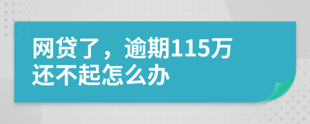 网贷了，逾期115万还不起怎么办