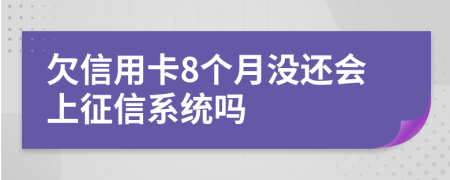 欠信用卡8个月没还会上征信系统吗