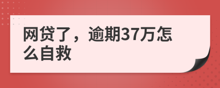 网贷了，逾期37万怎么自救