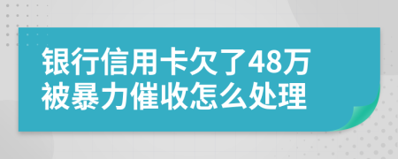 银行信用卡欠了48万被暴力催收怎么处理