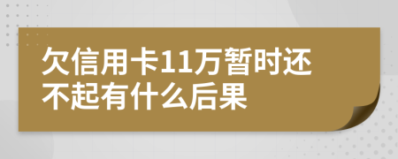 欠信用卡11万暂时还不起有什么后果