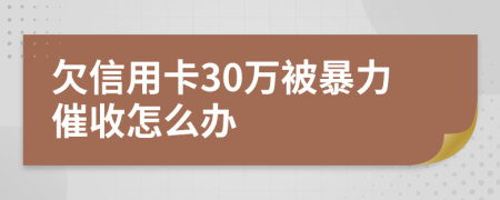 欠信用卡30万被暴力催收怎么办