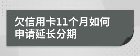 欠信用卡11个月如何申请延长分期