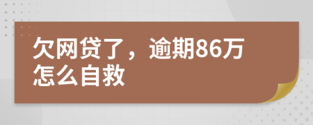 欠网贷了，逾期86万怎么自救