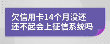 欠信用卡14个月没还还不起会上征信系统吗