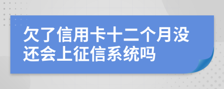 欠了信用卡十二个月没还会上征信系统吗