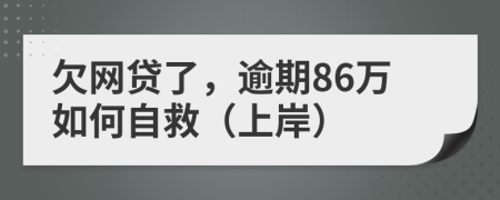 欠网贷了，逾期86万如何自救（上岸）